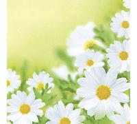 20 Napkins White Daisies - Pretty Daisy Field Flowers 33 x 33 cm