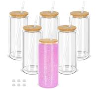 20 OZ Glass Snow Globe Tumbler with Pre Drilled Hole and Plug, Double Wall Snowglobe Cups for Snow Globe Glitter DIY , （6 Pack）