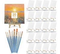 20 Pack Mini Canvas and Easel Set, Small Canvases for Painting with Small Wooden Easels Paint Brushes Paint Palettes, Painting Kits for Adults Kids Party