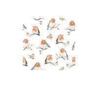 20 Pack Robin Napkins 3 Ply Paper Ambiente Christmas Party Tableware Serviettes 16.5cm x 16.5cm