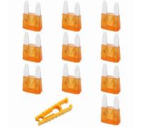 20 Pcs 5A Standard Car Auto Blade Fuse, 5 Amp ATO, 10 Pcs Assorted Auto Car Blade Fuses with Yellow Card Holder