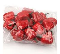 20 Pcs Decorative Artificial Vegetables Perfect for Home, Market, and Party Decor (Red chili B)