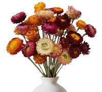 20 Pcs Dried Flowers Colorful Dried Flowers for Crafts Never Fading