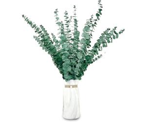 20 Pcs Dried Preserved Eucalyptus Stems 17" Natural Fresh Green Plant Made from Real Eucalyptus Leaves Branches for Flower Arrangement, Wedding Decor, Home Décor, 65/R16