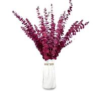 20 Pcs Dried Preserved Eucalyptus Stems 17" Natural Fresh Red Plant Made from Real Eucalyptus Leaves Branches for Flower Arrangement, Wedding Decor, Home Décor