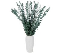 20 Pcs Dried Preserved Eucalyptus Stems 17" Natural Green Plant Made from Real Eucalyptus Leaves Branches for Flower Arrangement, Wedding Decor, Home Décor,DIY arrangement
