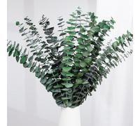 20 Pcs Eucalyptus Stems 17" Natural Fresh Green Eucalyptus Plant Made from Real Eucalyptus Leaves Branches for Flower Arrangement Home Wedding Party Decoration (Green)
