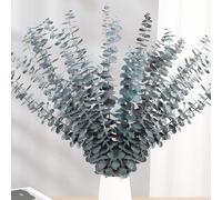 20 Pcs Eucalyptus Stems 17" Natural Fresh Green Eucalyptus Plant Made from Real Eucalyptus Leaves Branches for Flower Arrangement Home Wedding Party Decoration (Blue)