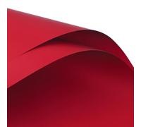 20 PCS Floral Wrapping Paper Matte Waterproof Bouquet Paper Sheets Korean Style Craft Paper Roll for Flower Arrangements Florist Supplies Wedding Birthday Holiday Packaging (Red)