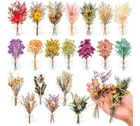 20 Pcs Mini Dried Flowers for Crafts Bulk, Dried Flowers with Stems for Crafts, Wildflower Party Decor for DIY Photo Props Present