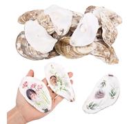 20 Pcs Natural Oyster Shells for Crafts 3.5~4.7 inch Large Oyster Shells Ornament Bulk Concave Oysters Shell for Painting Beach Wedding Christmas Decor Vase Filler DIY Home Decor