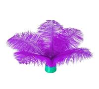 20 pcs Natural Purple Ostrich Feathers 6-8 inch(15-20 cm) Bulk for DIY Handmade Artwork and DIY Clothes, Feather Pens, Dream Catcher, Table Decoration.
