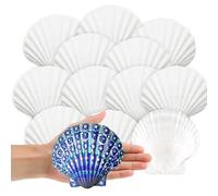 20 Pcs Natural White Scallop Shells - Large 5-7cm Seashells for Crafts, Wedding Decor & Beach Theme Party | Bulk Oyster Shells for DIY Painting, Vase Filler, Fish Tank Decorations