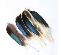 20 PCS Natural Wild Duck Feathers 4-6 Inches / 10-15cm Long, DIY Pheasant Feather Jewelry Decorative Accessories-Color 10 14cm30