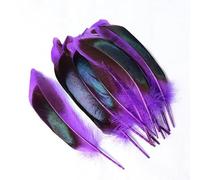 20 PCS Natural Wild Duck Feathers 4-6 Inches / 10-15cm Long, DIY Pheasant Feather Jewelry Decorative Accessories-Purple 10 14cm30