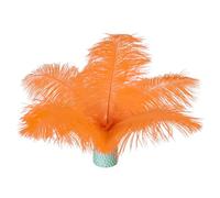20 pcs Orange Ostrich Feathers Plumes 6-8 inch(15-20 cm) Bulk for DIY Handmade Artwork and DIY Clothes, Feather Pens, Dream Catcher, Table Decoration.