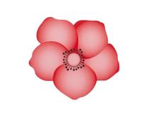 20 PCS Pink Blossom Window Fly Stickers, Decorative Fly Trap for Fruit Flies & House Flies, Non-Toxic Fly Killer