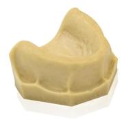 20 PCS Plaster Tooth Model Dental Model High Simulated Plaster Tooth Model Simulated Oral Tooth Teeth Mould