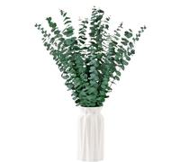 20 PCS Preserved Dried Eucalyptus Bundle 17'' Real Eucalyptus Stems 100% Natural Fresh Leaves Hanging Plants Greenery Stems for Shower Home Decor Flow