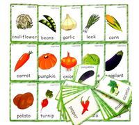 20 Pcs Vegetable Flash Cards, Learning First English Word Cards for Teacher/Autism Therapists Home school ESL Teaching Aid Materials, Tools