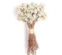 20 Pcst Natural Cotton Balls Dried Flower Plants Dry Real White Balls Flower Bunch Party Decorative Diy Wedding Decoration
