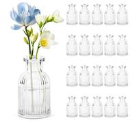 20 Piece Mini Glass Vase Set, Small Table Transparent Ribbed Bud Vase for Wedding Party Table Centerpiece Decoration Living Room Decoration (9.4cm×5.2cm)