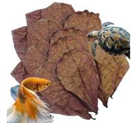 20 Pieces Betta Fish Leaves, Indian Almond Leaves, Aquarium Almond Leaves, Stealthy Environment for Shrimp Crabs Turtles and Betta Fishes to Balance PH Balance of The Water