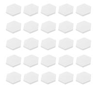 20 Pieces Coral Frag Plugs Coral Frag Base Coral Frag Rack Hexagonal Coral Frag Plate Base Ceramic Coral Frag Plugs Aquarium Coral Frag Stand Coral Frag Disks Holder(White, 23.5mm)
