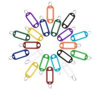 20 Pieces Durable Plastic Key Tags with Blank Labels, Clear Protective Films, and Split Rings - 10 Assorted Colors for Luggage, Pet ID, Memory Sticks, and Item Identification