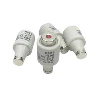 20 pieces Spiral Fuse RL6-25 AC/DC 500V Cylindrical Fuses Link R021 Screw Ceramic F.use 2A 4A 6A 10A 16A RL93 RL96 RL6(2A)