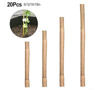 20 Reusable Plant Support Stakes Made from Natural Materials Perfect for Vines, Climbers, and Vegetable Gardening (8in)
