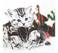 20 Small Cocktail Napkins Cute Cat Pair | Christmas | Winter | Table Decoration | Decoupage | Napkin Technology 25 x 25 cm