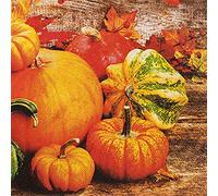 20 Small Cocktail Napkins Rustic Pumpkins Autumn Table Decoration Decoupage Napkin Technology 25 x 25 cm