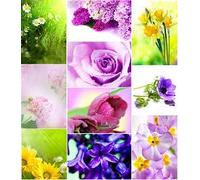 20 Spring Flower Postcards - A Beautiful Selection Of Floral Picture Postcards (Without Envelope)