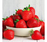 (20) Strawberry 'Cambridge Favourite' Hardy Mid Season Bare Root Garden Fruit Plants