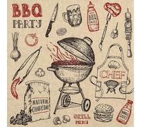 20 Sustainable Napkins Food Everything for the Grill as Table Decoration Ecological Paper Napkins Made of Recycled Material 33 x 33 cm