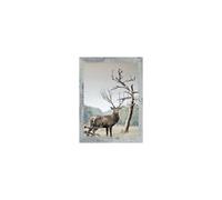 (20 X 16" ( 50.8 X 40.6cm )) Rustic Silver Grey A1 A2 A3 A4 A5 Picture Frame