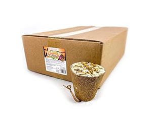 20 x Chubby Suet Filled Coconut Coir Fibre Bell- Topped with Mealworm, Wild Bird Coconuts Halves Hanging, Coconut Wild Bird Feeder Halves Hanging (Mealworm)