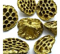20 x Large Gold Dried Lotus Seed Heads - Craft Wreath Florist Decoration Christmas