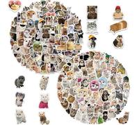 200 Cat Stickers, Funny Cat Stickers, Cat Photo Stickers, Cute Expression Stickers, Realistic Cat Stickers, Cat Graffiti Stickers