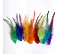 200 Pack Colorful Craft Rooster Feathers Colored Feathers Bulk for Kindergarten DIY Crafts Art Projects and Party Decorations 3 to 6 in