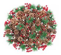 200 Pcs Christmas Pine Cones Red Berries Pine Branch Set Natural Christmas Pine Cones Pine Branch Various Size Pinecones Artificial Red Berries for Xmas Tree Ornament Home Fall Winter DIY Crafts
