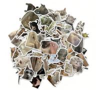 200 Pcs Funny Cat Stickers Set,Cute Cat Decals Kawaii Stickers,Aesthetic Decal for Ca-t Lovers Water Bottle Scrapbook Phone