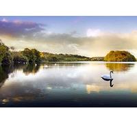 200 Piece Challenge Puzzles for Kids and Adults Swans on the Lake Landscape Thick Puzzle, Each Piece is Unique, Puzzle with Letters on the Back 35x25CM