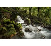 200 Piece Jigsaw Puzzle | Sustainable Puzzle for Adults | Premium 100% Recycled Board | Great Gift for Adults, Forest, Waterfall, New Zealand, Tongariro National Park 35x25CM