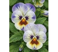 200 Piece Jigsaw Puzzles for Adults, Dewdrop Flower Jigsaw Puzzles for Adults 200 Pieces, 35x25cm Impossible Hard Difficult Challenging Adult Puzzles for Wall Decoration and Gifts