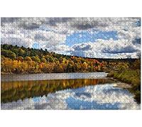 200 Piece Jigsaw Puzzles For Adults Kids Reflections Of Fall Leaves On The St John River Jigsaw Puzzle Printing Jigsaw Puzzles For Women For Kids, Adults 35x25CM