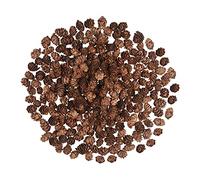 200 Pieces Christmas Pine Cones,Natural Mini Pine Cones Thanksgiving Pine Cones Bulk Christmas Pinecones Ornaments for Home Decor DIY Crafts Christmas Tree Fall Winter Decor (nature)