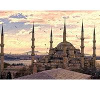 200 Pieces City Turkey Istanbul Sultan Ahmet Mosque Large Piece Jigsaw Puzzle Wood Material 35x25CM