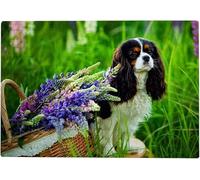 200 Pieces Dog In The Park Jigsaw Puzzles For Adults Cavalier King Charles Spaniel Dog Puzzle Difficult And Challenge Large Puzzle Game Toys Gift For Teens 35x25CM
